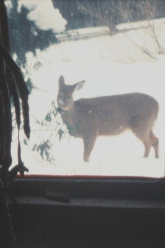 Movie poster for Super 8 Diary - 2000 (2000)