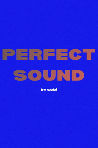Movie poster for Perfect Sound (2025)