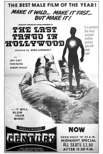 Movie poster for Last Tango in Hollywood (1973)