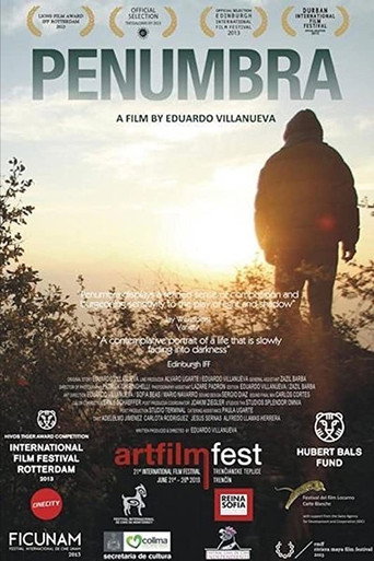 Movie poster for Penumbra (2013)