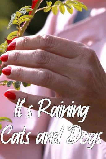 Movie poster for It's Raining Cats and Dogs (2022)