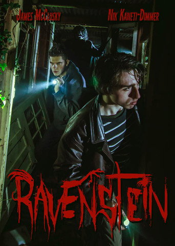 Movie poster for Ravenstein (2020)