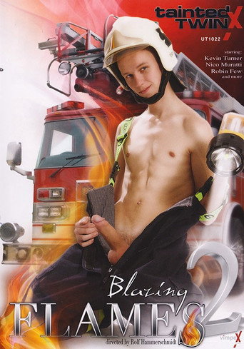 Movie poster for Blazing Flames 2 (2014)