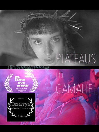 Movie poster for Plateaus in Gamaliel (2023)