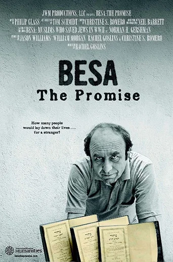 Movie poster for Besa: The Promise (2012)