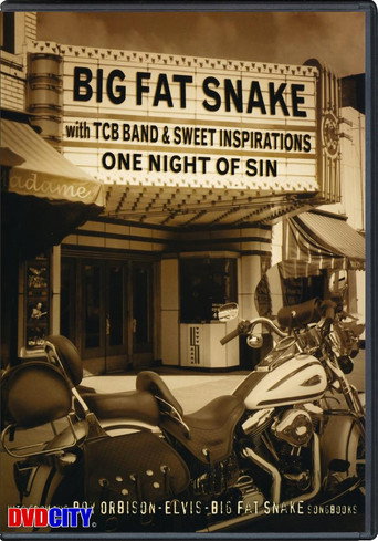 Big Fat Snake - One Night of Sin poster