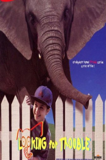 Looking for Trouble poster