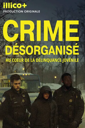 Crime désorganisé: au cœur de la délinquance juvénile poster