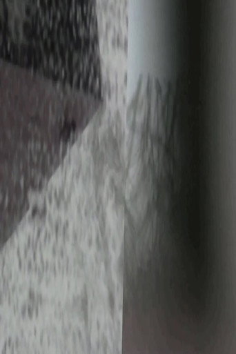 Movie poster for Snows of Reduction (2012)