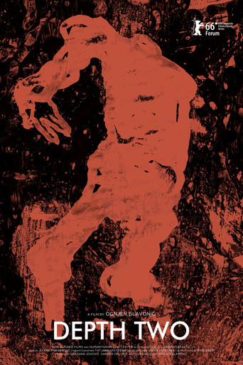 Movie poster for Depth Two (2016)