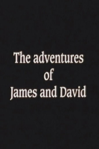 The Adventures of James and David poster