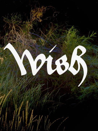 Movie poster for Wish (2021)