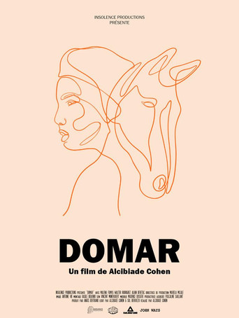 Domar poster