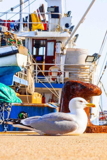 The Good Story poster