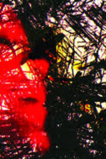 Tantas vozes no silêncio do agora poster