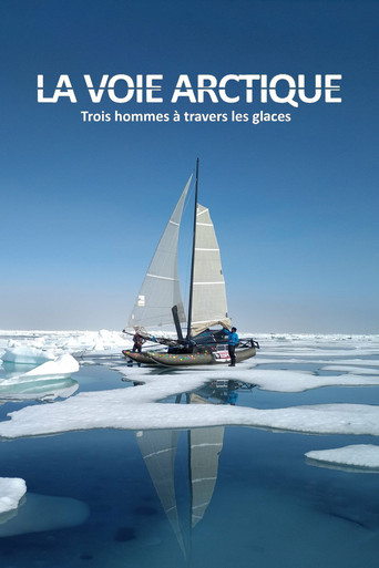Movie poster for La Voie arctique - Trois hommes à travers les glaces (2020)