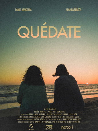 Movie poster for Stay