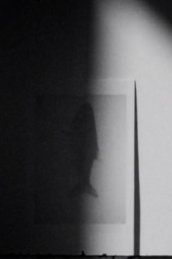 shadow swells poster