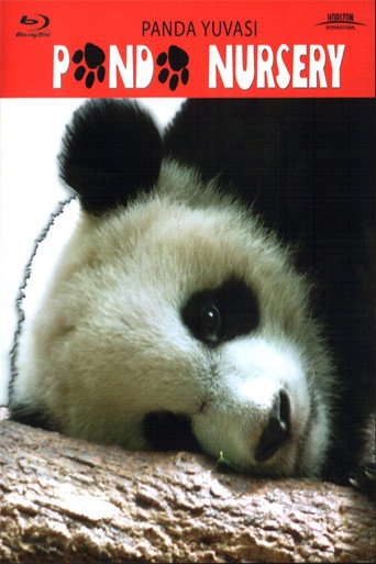 Panda Nursery poster