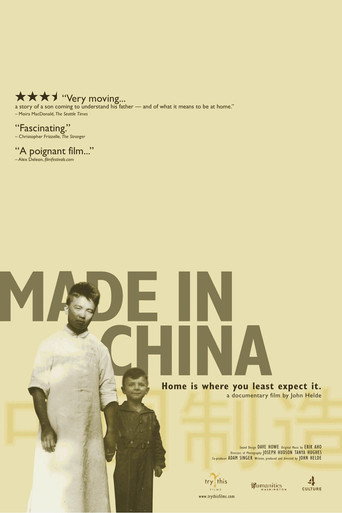 Movie poster for Made in China (2007)