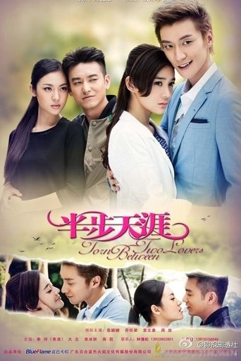 Torn Between Two Lovers poster