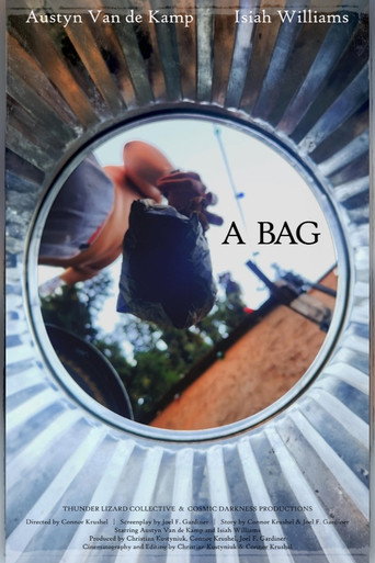Movie poster for A Bag (2023)