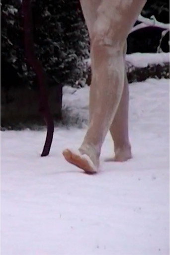 Movie poster for Walk (2011)