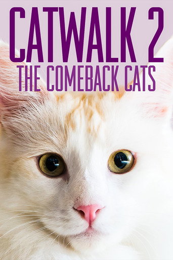 Movie poster for Catwalk 2: The Comeback Cats (2022)