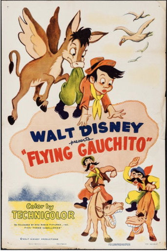 Movie poster for The Flying Gauchito (1944)