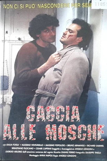 Caccia alle mosche poster