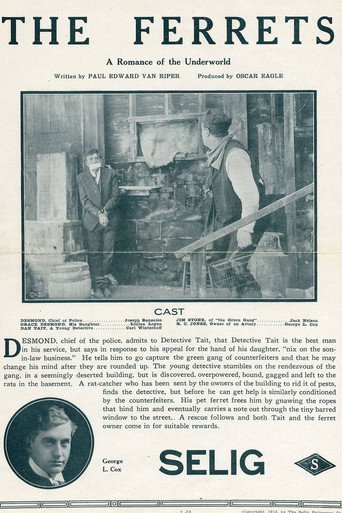 Movie poster for The Ferrets (1913)