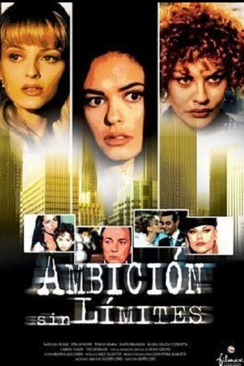 La signora della città poster