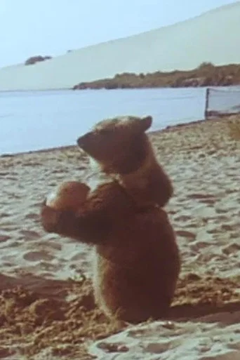 Movie poster for Little Bear (1981)