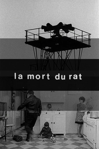 Movie poster for Death of the Rat (1975)