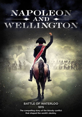 Movie poster for Napoleon and Wellington (1997)