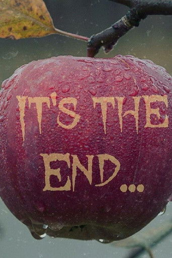 It’s The End poster
