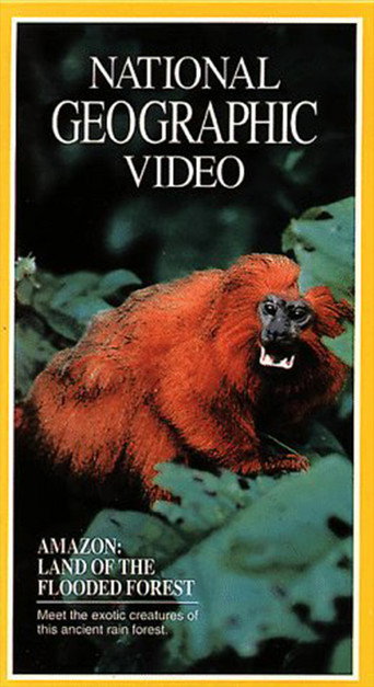 Movie poster for Amazon: Land of the Flooded Forest (1990)