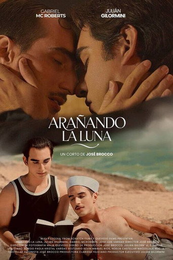Arañando la luna poster