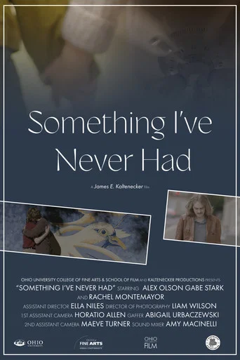 Movie poster for Something I've Never Had