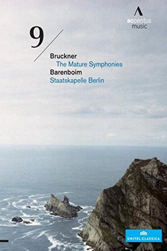 Movie poster for Bruckner Symphony No. 9 (2010)