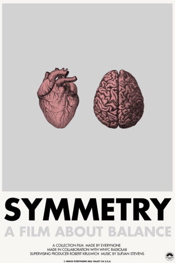Symmetry poster