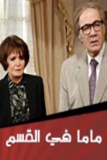 Mom at the Police Station poster