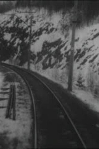 Movie poster for Arrival of the Train (1995)