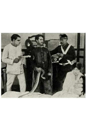 Movie poster for The Rattlesnake (1913)