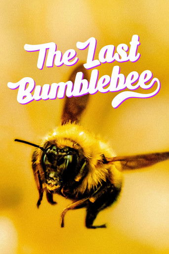 The Last Bumblebee poster