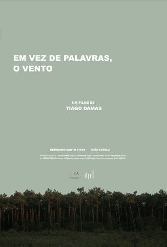 Em vez de palavras, o vento poster