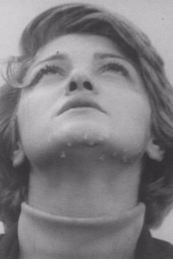 Spring Behind the Window poster