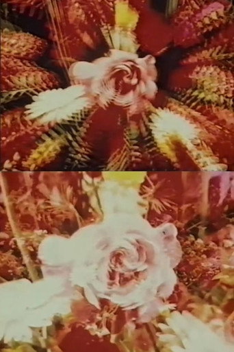 Movie poster for Contemplation of the Rose (1973)