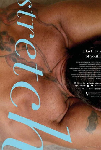 Movie poster for Stretch (2018)