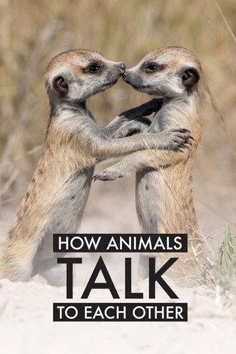 Movie poster for How Animals Talk To Each Other (2024)
